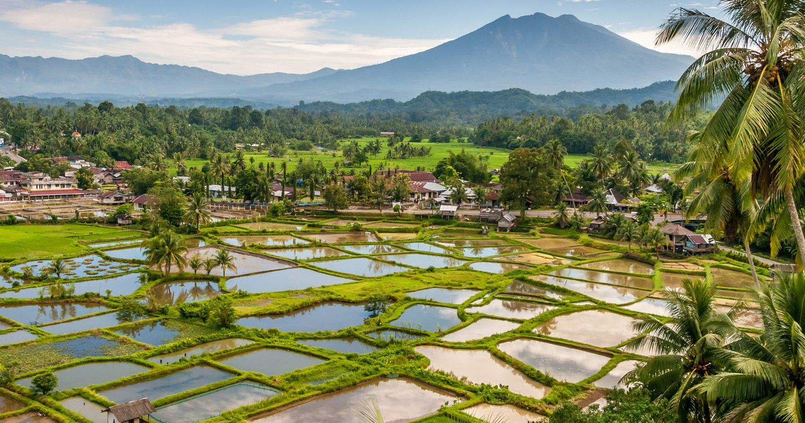 Die Kultur und der Kaffee der Insel Sumatra, Indonesien